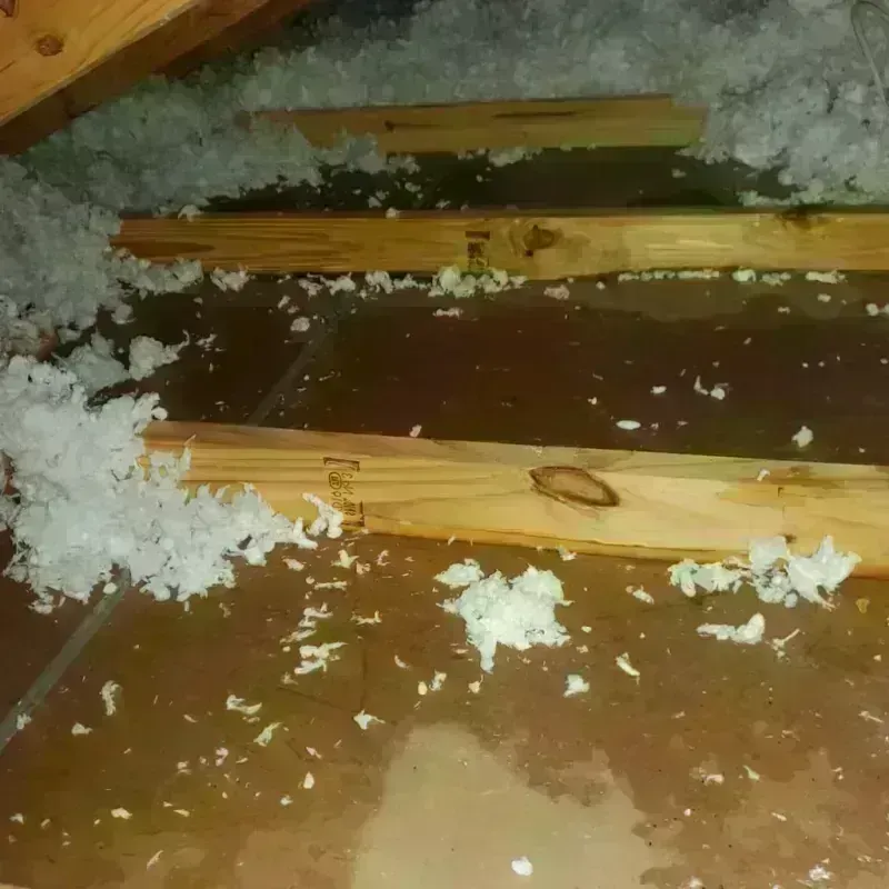 Attic Water Damage in Nemaha County, KS